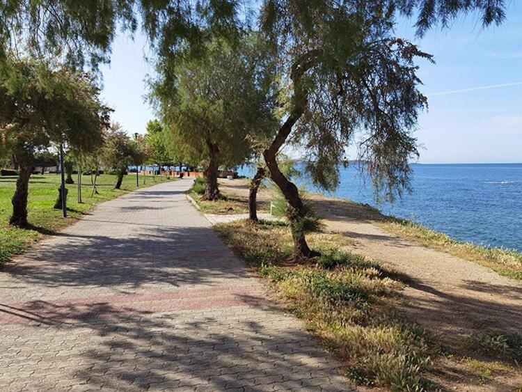 Roxy 2 Voula, Glyfada